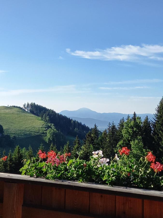 Almchalet Schuster Diex Dış mekan fotoğraf