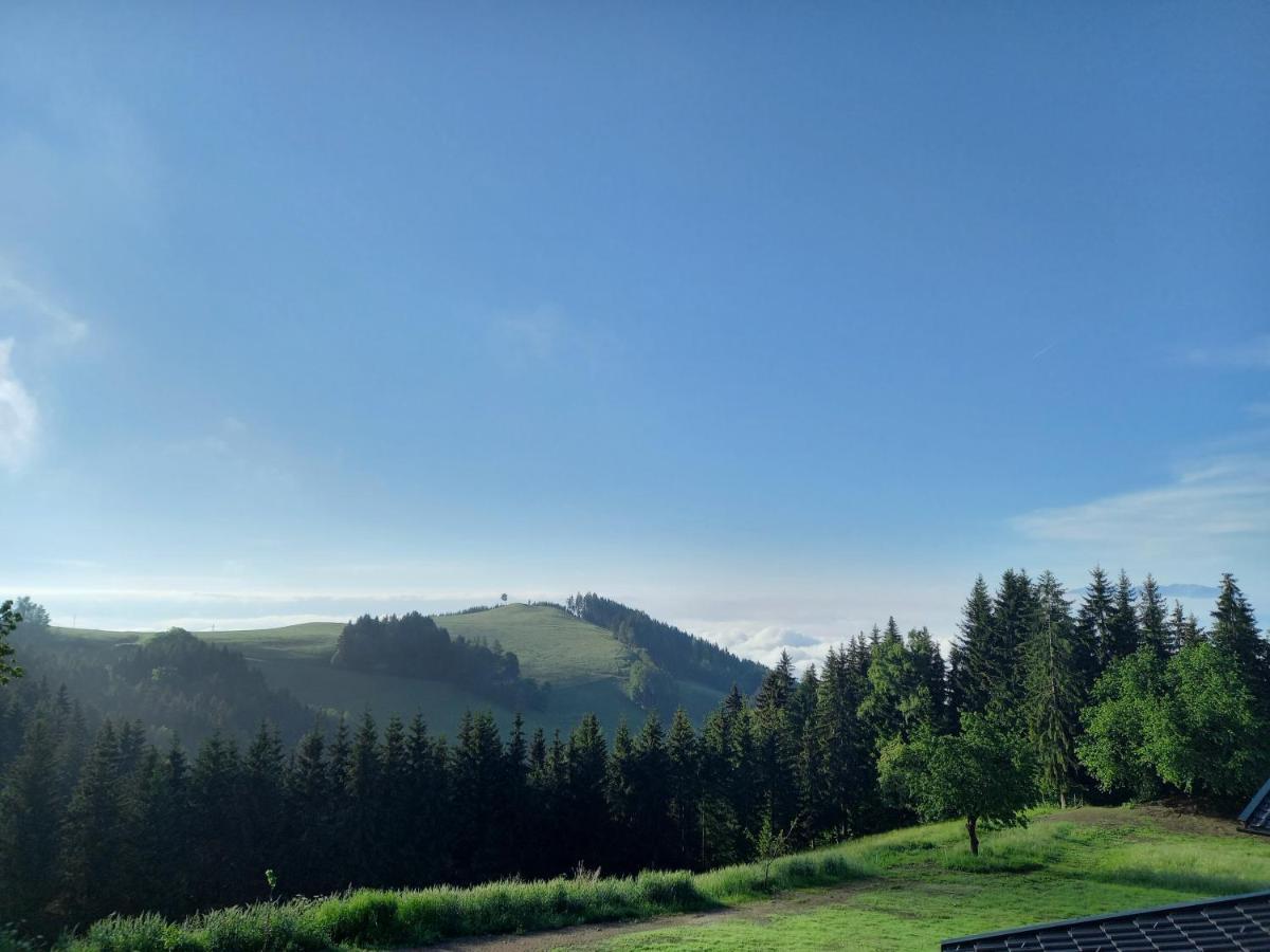 Almchalet Schuster Diex Dış mekan fotoğraf