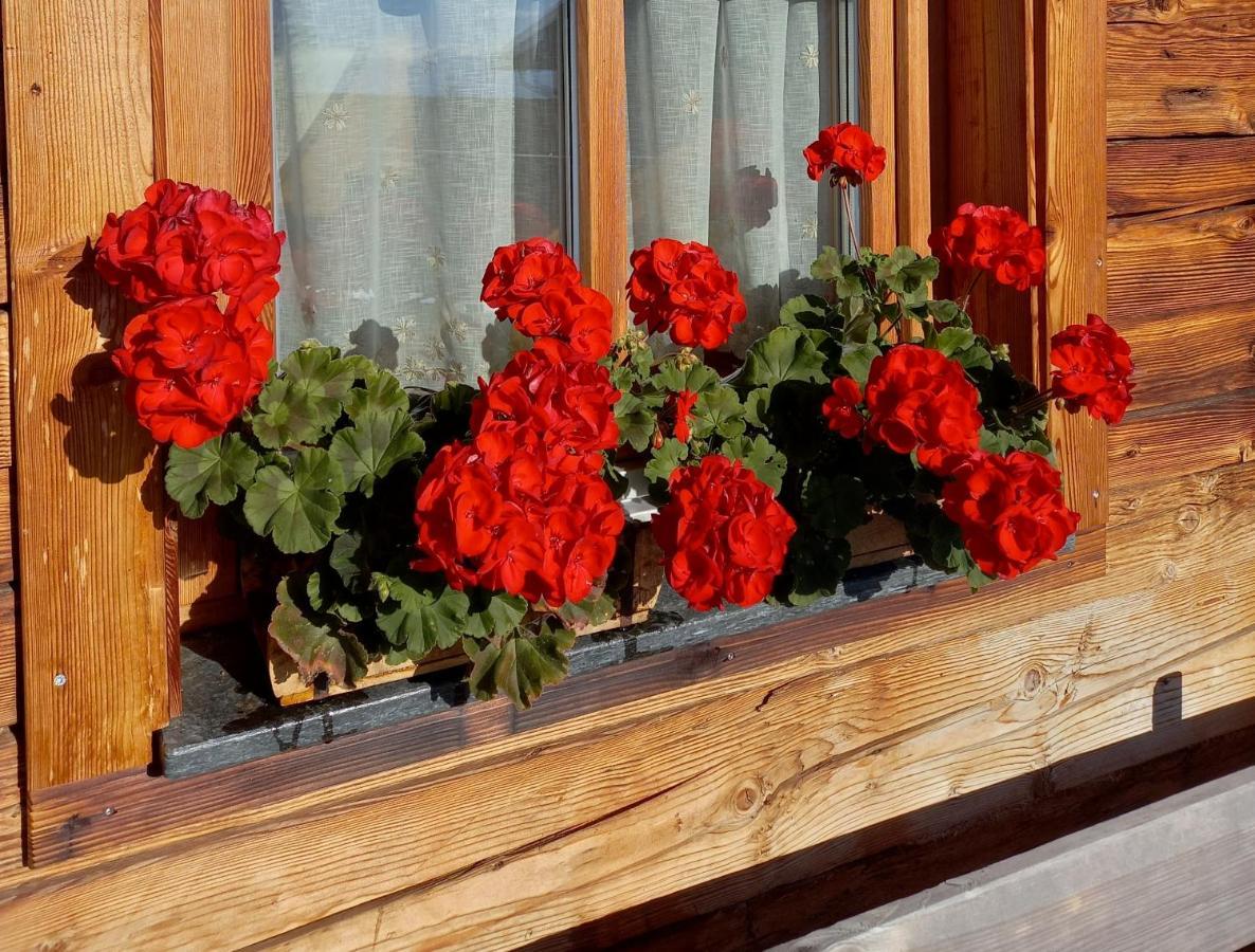 Almchalet Schuster Diex Dış mekan fotoğraf